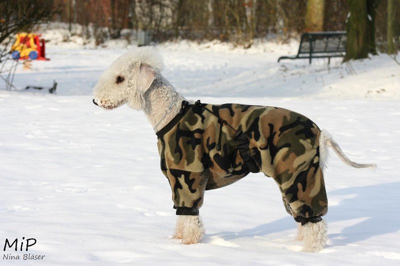 2010-12-03 Svet Snow (4).jpg